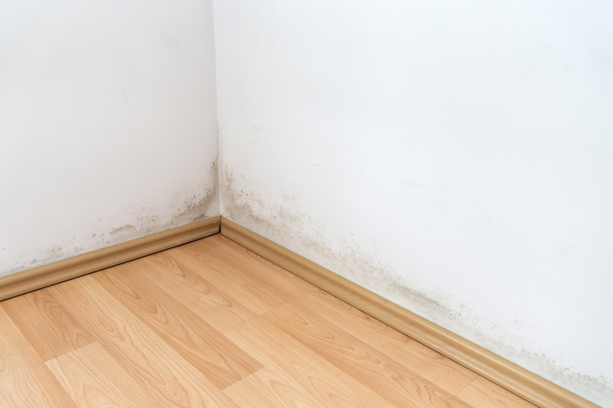 baseboard-before